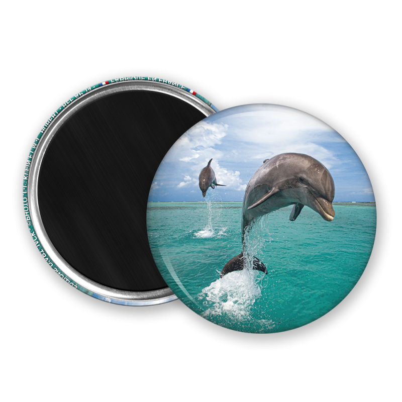 Magnet rond - Dauphin