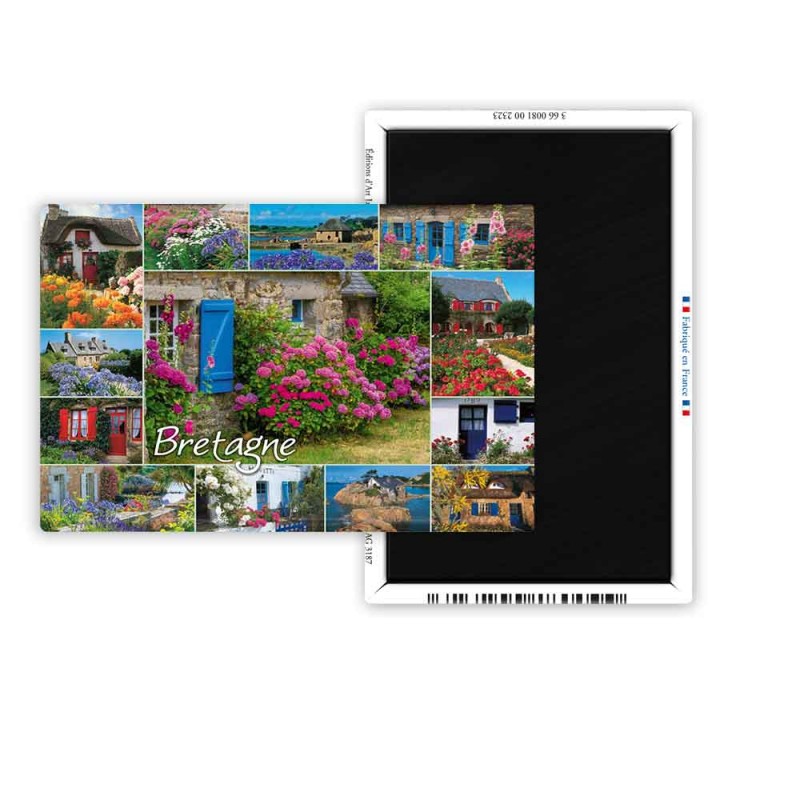 Magnet 55x80 - Fleurs et vieilles pierres...(13 vues)