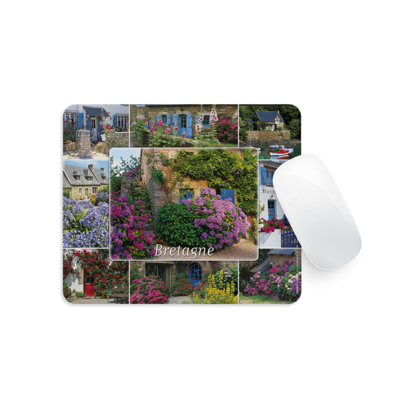 Tapis de Souris - Fleurs et vieilles pierres...(9 vues)