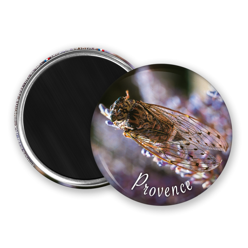 Magnet rond - La cigale