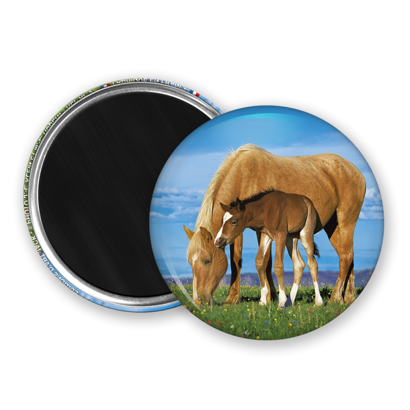 Magnet rond - La jument et son poulain