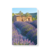 Note Book 15x21 - Lavande et cabanon
