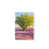 Note Book 10x15 - Lavande et olivier Note Book 10x15 - Lavande et olivier