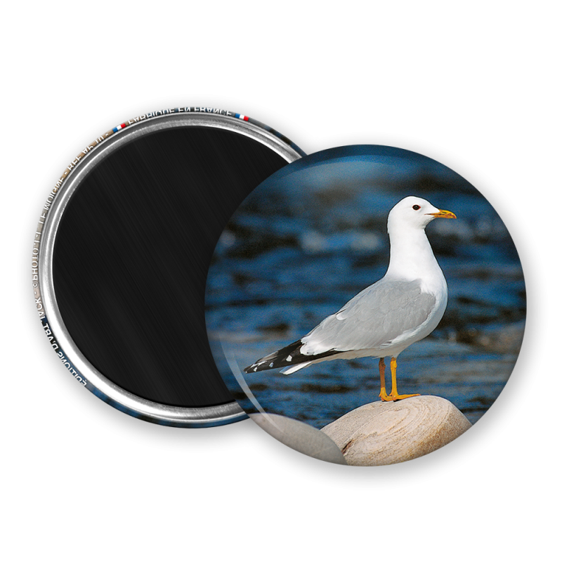 Magnet rond - Le goelan