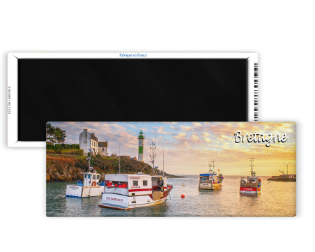 Magnet 42x118 - Le port de doelan