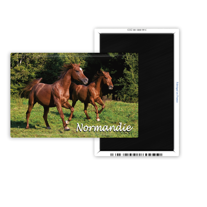 Magnet 55x80 - Les chevaux