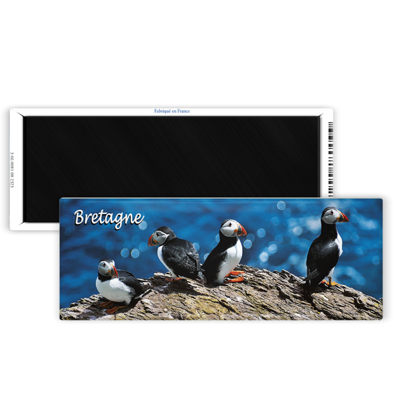Magnet 42x118 - Macareux moine