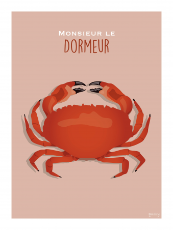 Affiche 30x40 - Monsieur le dormeur