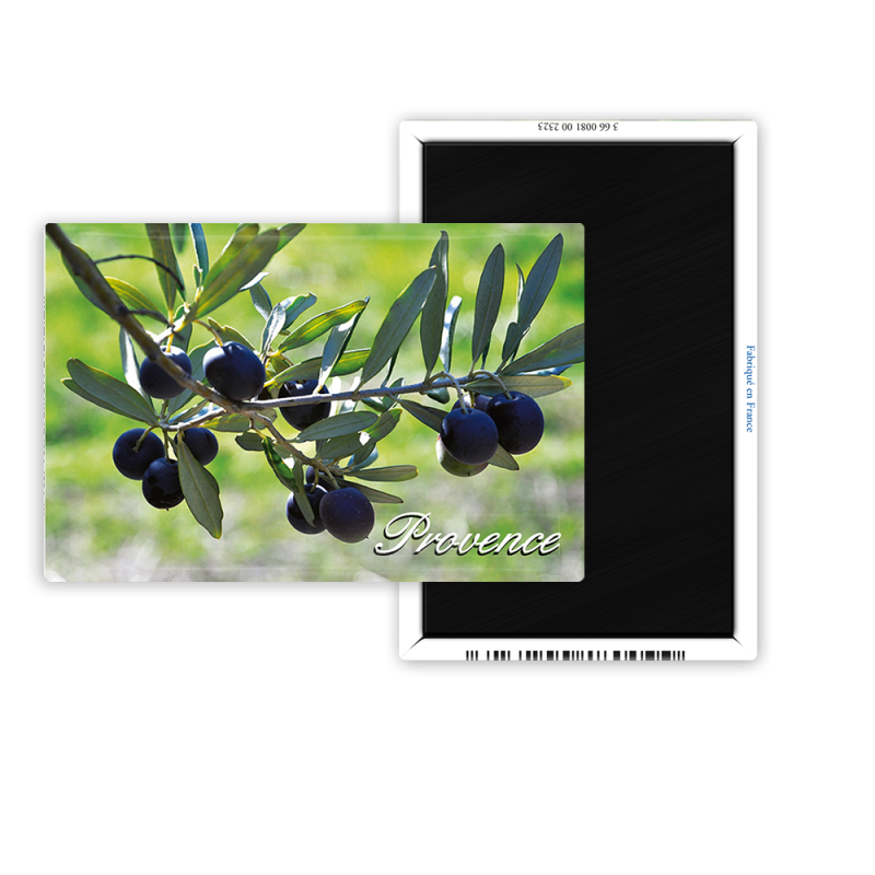 Magnet 55x80 - Olives