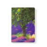 Note Book 15x21 - Olivier et lavande