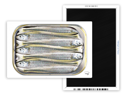 Magnet 55x80 - Plisson - sardines