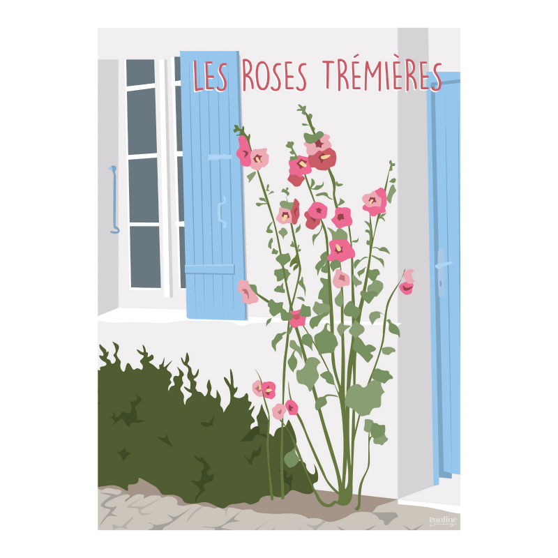 Affiche 30x40 - Rose tremières