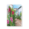 Note Book 15x21 - Ruelle fleurie