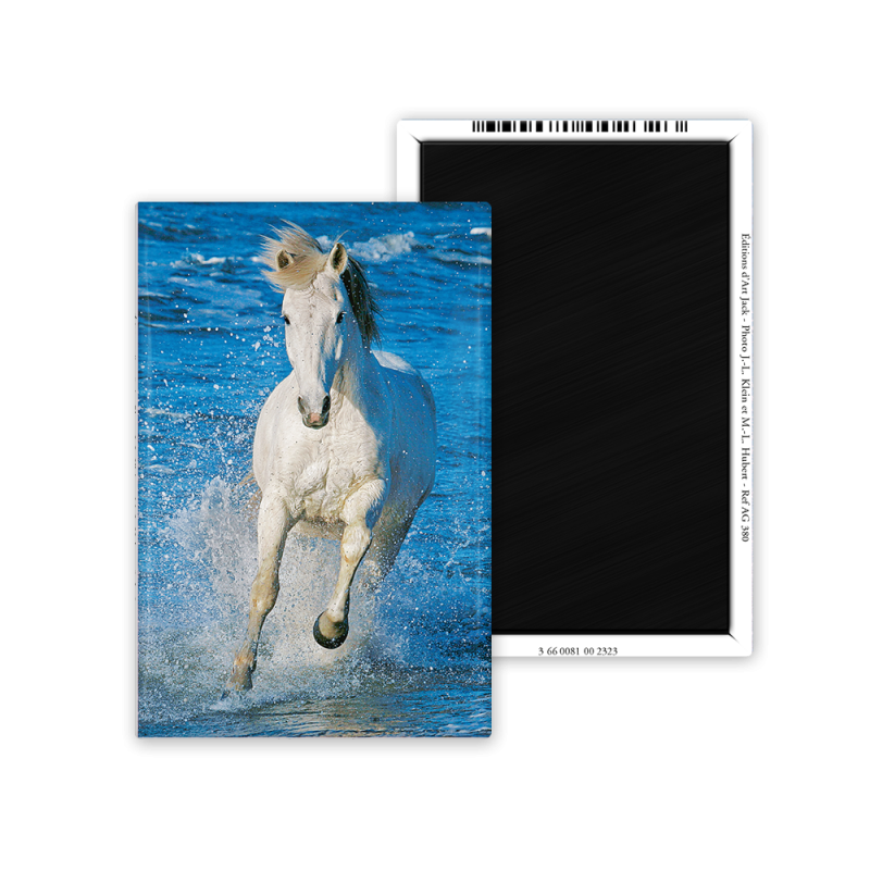 Magnet 55x80 - Cheval