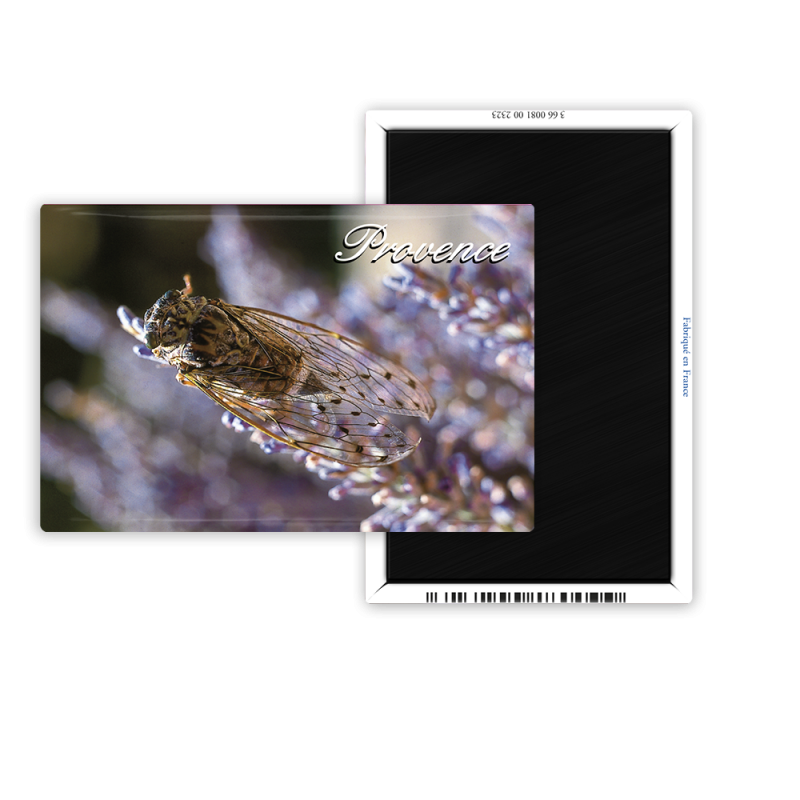 Magnet 55x80 - Cigale