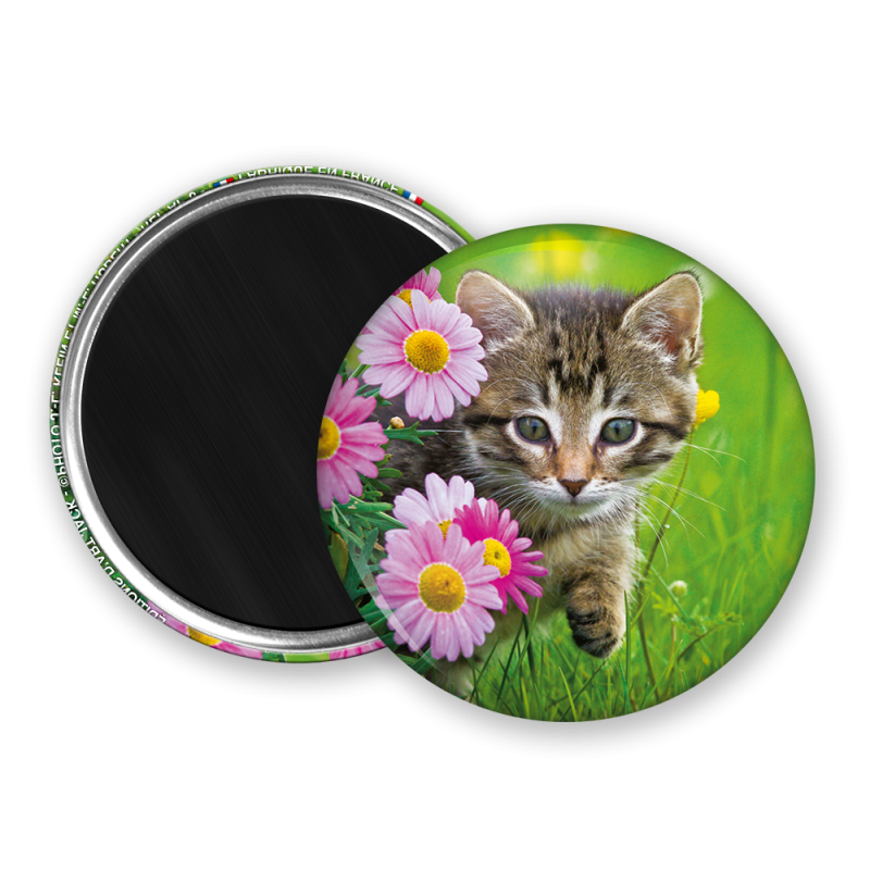 Magnet rond - Chaton