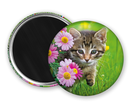 Magnet rond - Chaton