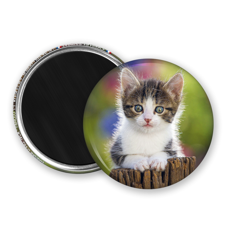 Magnet rond - Chaton