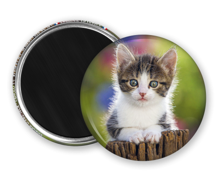 Magnet rond - Chaton