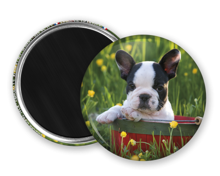 Magnet rond - Chiot