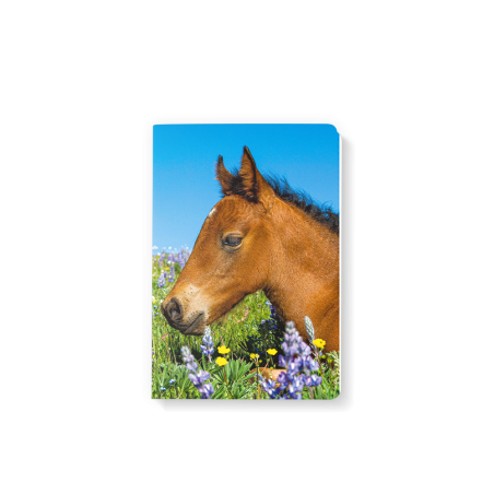 Note Book 10x15 - Chevaux