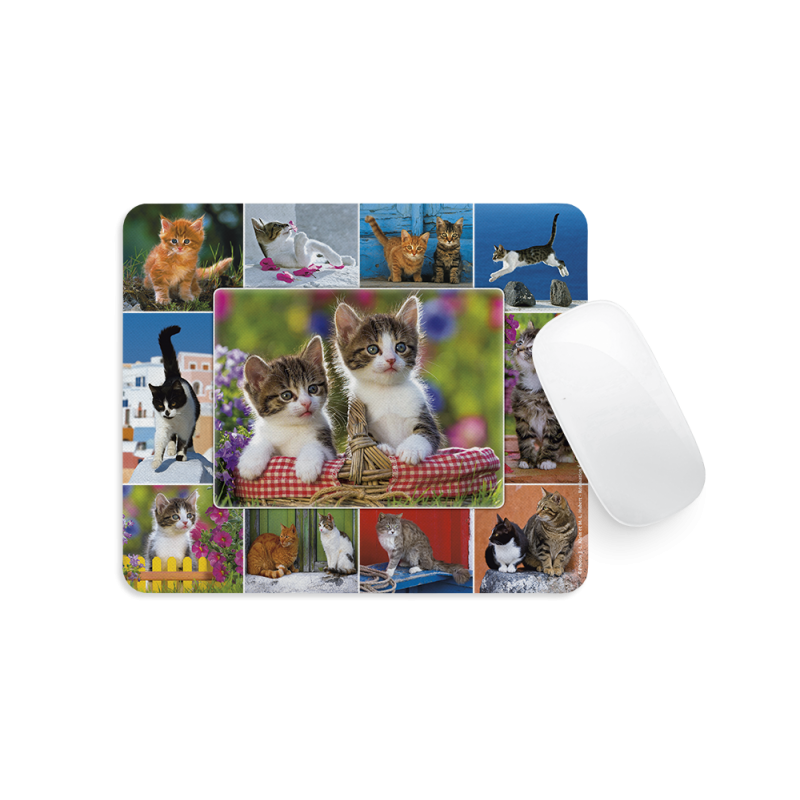 Tapis de Souris - Chats...(9 vues)