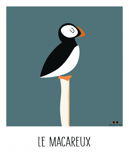 Le macareux