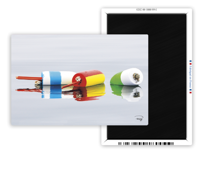 Magnet 55x80 - Flotteurs Magnet 55x80 - Flotteurs