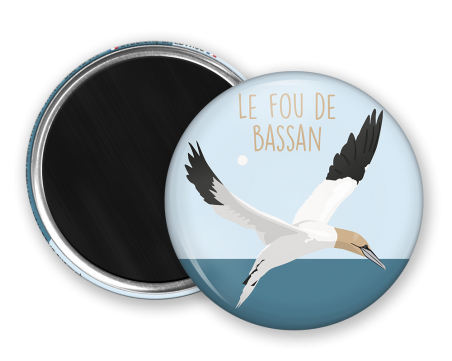 Magnet rond - Le fou de bassin