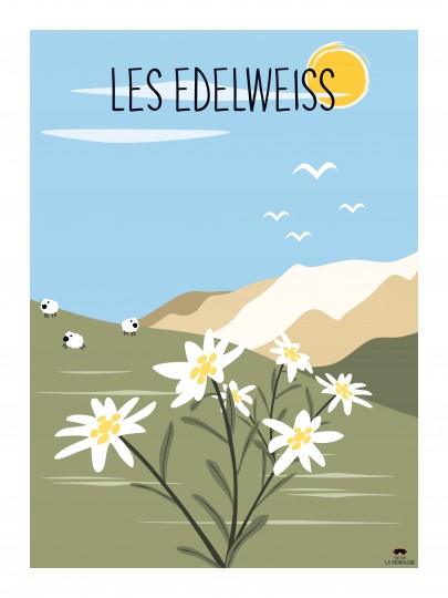 Les edelweiss