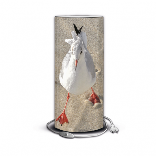 La mouette