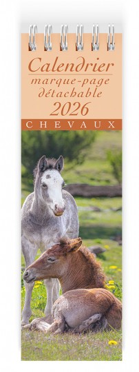 Chevaux
