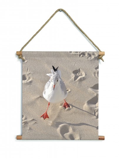 La mouette