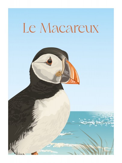 Le macareux