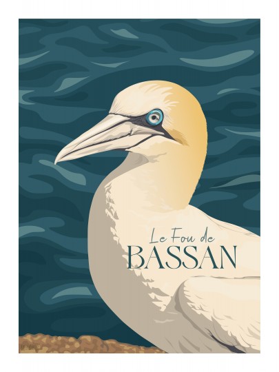 Le fou de Bassan