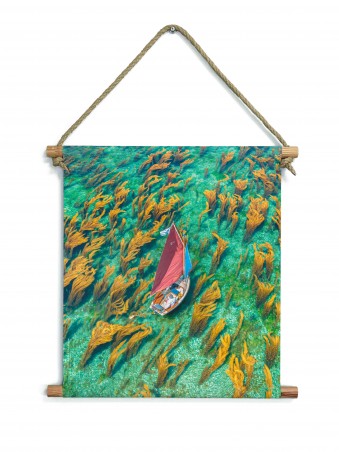 Bateau sur les algues