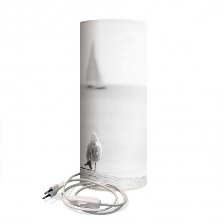 La mouette et le voilier