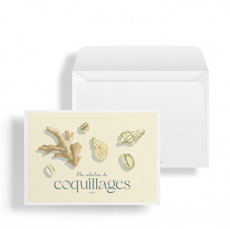 Ma collection de coquillages