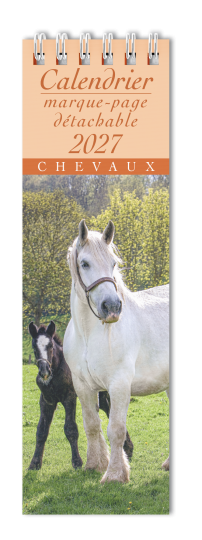 Chevaux