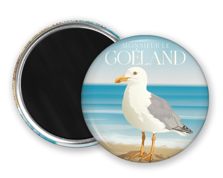 Monsieur le Goéland