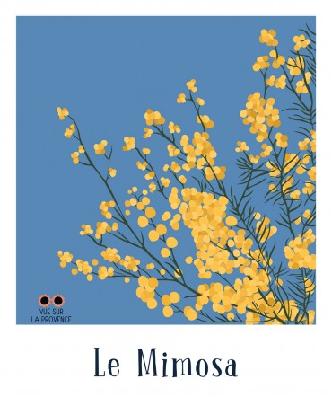 Le Mimosa