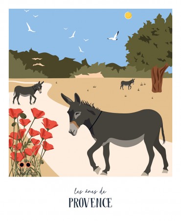 Les Ânes de Provence
