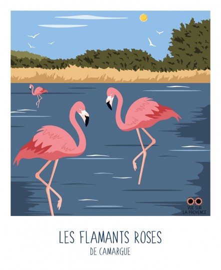 Les Flamants Roses de Camargue