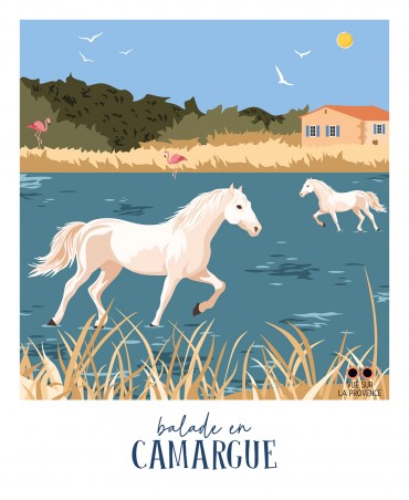 Balade en Camargue
