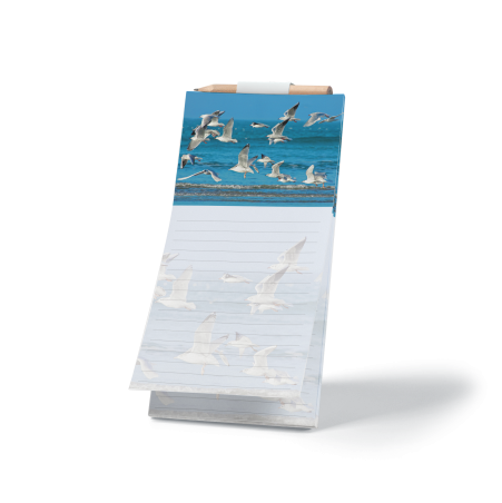 Envolée de mouettes