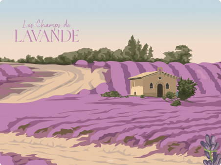 Les Champs de Lavande
