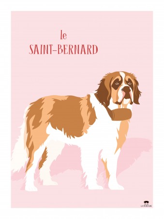 Le Saint-Bernard