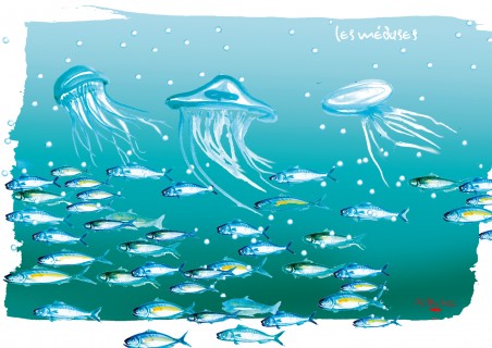 Les Méduses