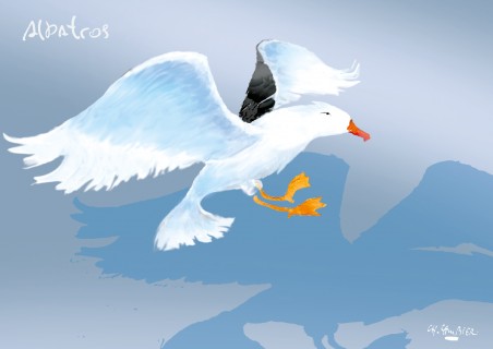 L'Albatros