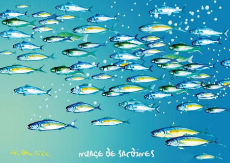Nuage de Sardines